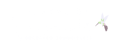 Logo Nakawe