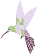 Colibrí